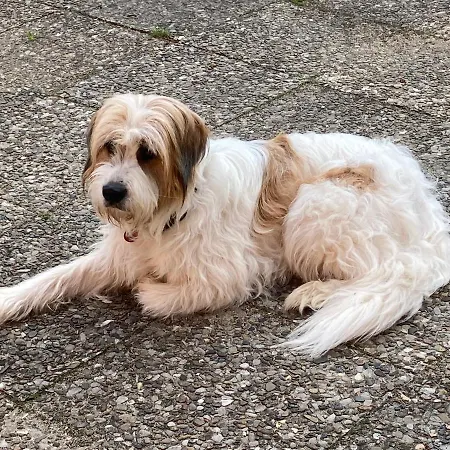 Nunatak Am Ploener Апартаменты *